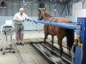 Treadmill in use 